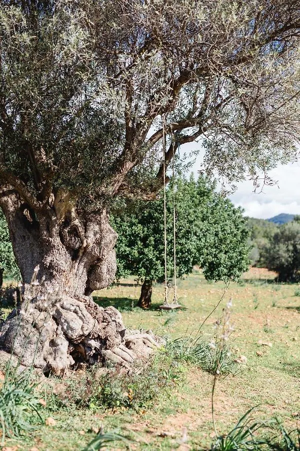 Finca Es Cabas Санта-Мария-дель-Ками 3*,  Испания