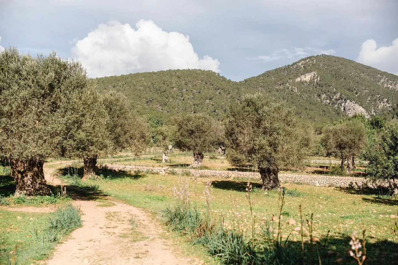 *** Гостевой дом Finca Es Cabas Санта-Мария-дель-Ками Испания
